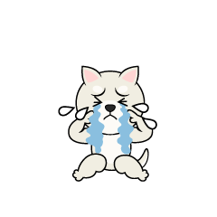 泣く白犬
