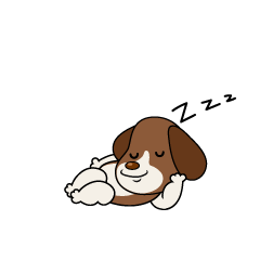 寝るビーグル