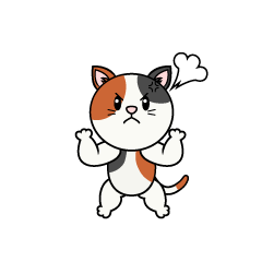 怒る三毛猫