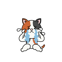泣く三毛猫