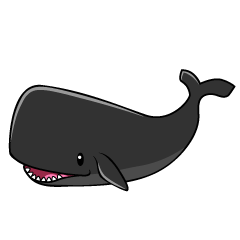 マッコウクジラ