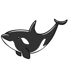 シャチ