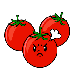 怒るミニトマト
