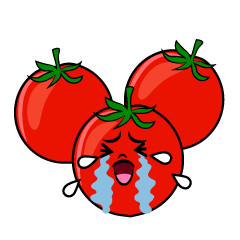 泣くミニトマト