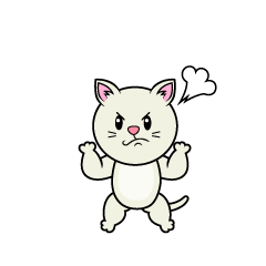 怒る白猫