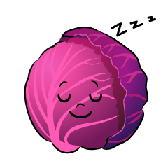 寝る紫キャベツ