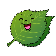笑顔のシソ
