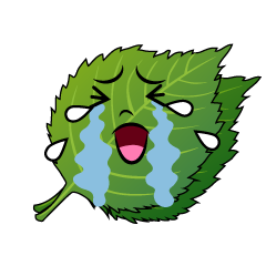 泣くシソ