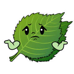 困るシソ