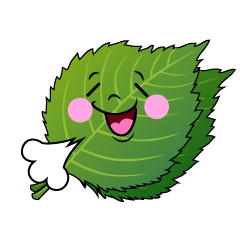 ほっとするシソ