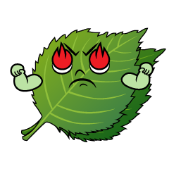 熱意のシソ