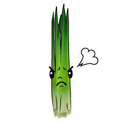 怒る青ネギ