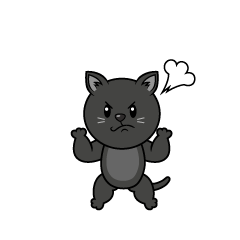 怒る黒猫