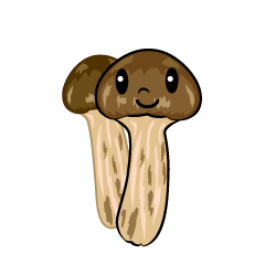 松茸