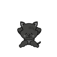 落ち込む黒猫