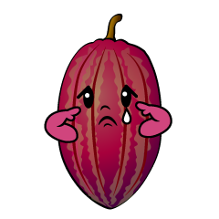 悲しいカカオ