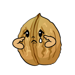 悲しいクルミ