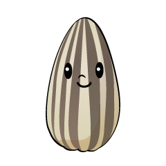 ヒマワリの種