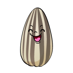 笑顔のヒマワリの種