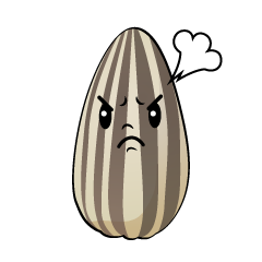 怒るヒマワリの種