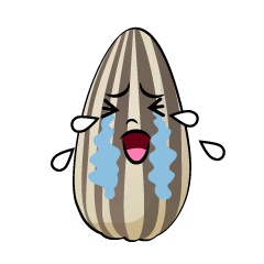 泣くヒマワリの種