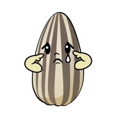 悲しいヒマワリの種