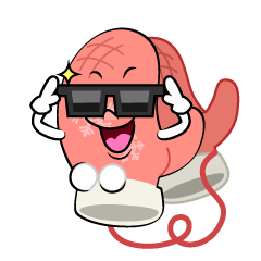 Sunglasses Gloves