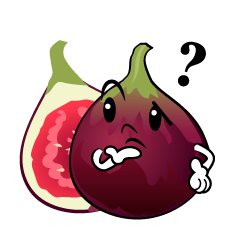 考えるイチジク