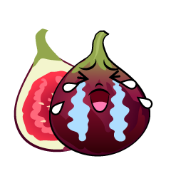 泣くイチジク