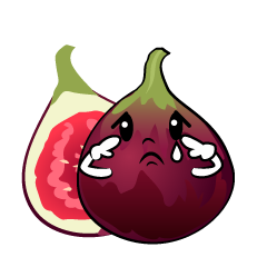 悲しいイチジク