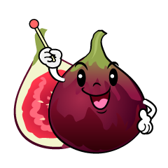 説明するイチジク