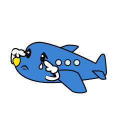 悲しい小型ジェット