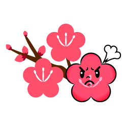 怒る梅の枝
