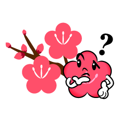 考える梅の枝