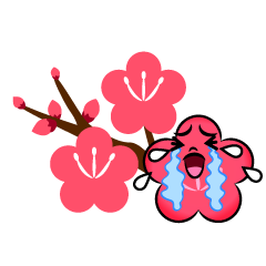泣く梅の枝