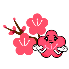 困る梅の枝
