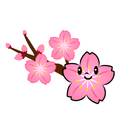 桜の枝