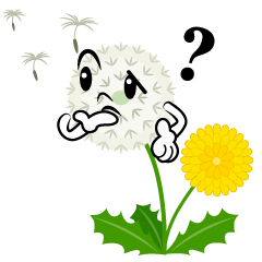 Thinking Dandelion Fluff