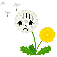 Bowing Dandelion Fluff