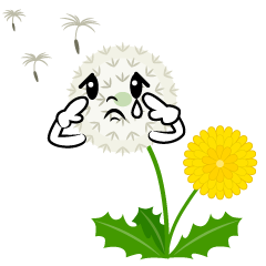 Sad Dandelion Fluff