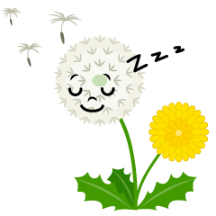 Sleeping Dandelion Fluff