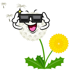 Sunglasses Dandelion Fluff