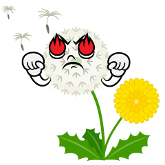 Passionate Dandelion Fluff