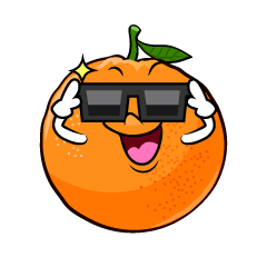 Sunglasses Orange