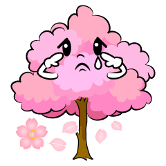 悲しい桜の木