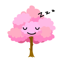寝る桜の木