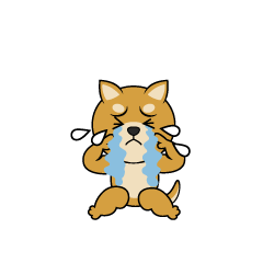 泣く柴犬