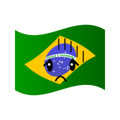 落ち込むブラジル国旗