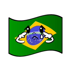 悲しいブラジル国旗