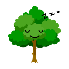 寝る木